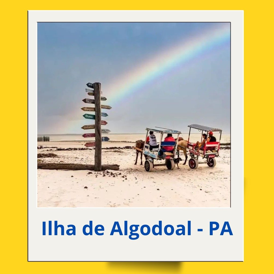 Imagem do WhatsApp de 2025-04-14 à(s) 17.03.55_932cf098