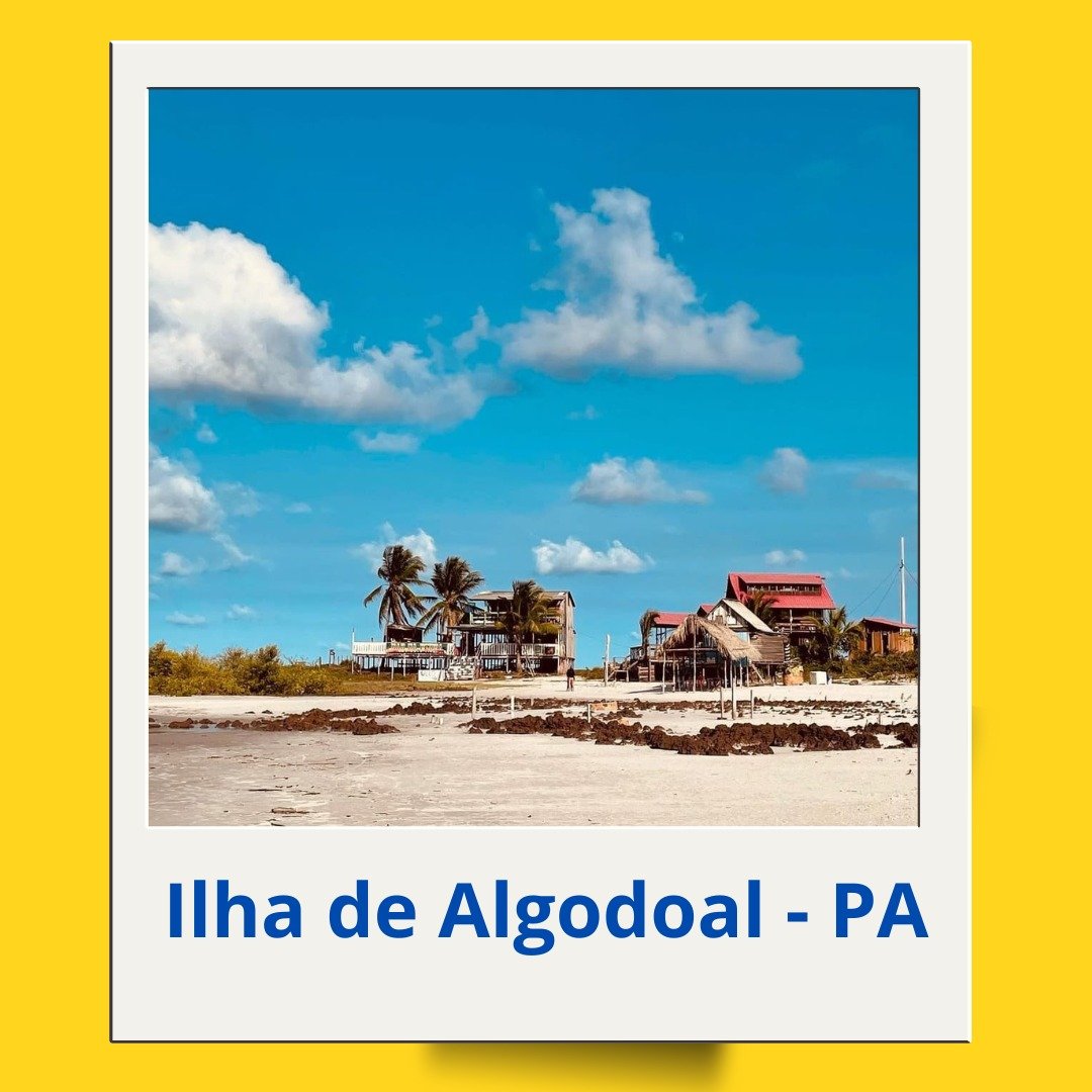 Imagem do WhatsApp de 2025-04-14 à(s) 17.03.57_3f5a8059